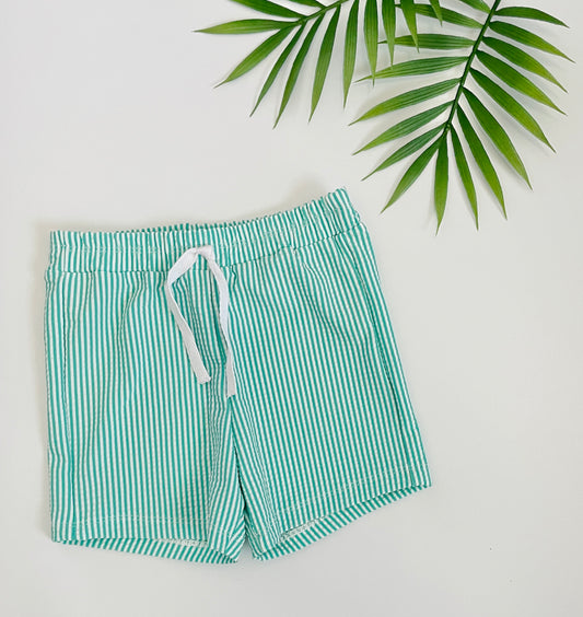 Surf Shorts